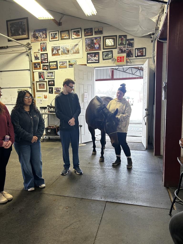 SCHS FFA students are looking at a horse.