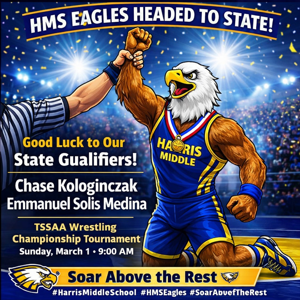 HMS Wrestlers heading to state championship tournament