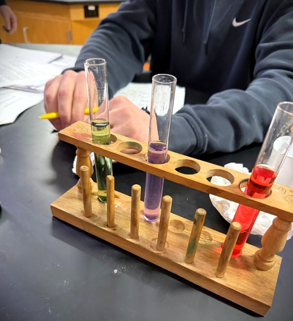 Test tubes in a rack each containing a colored substance in a Chemistry class. 