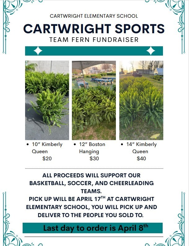 fern flyer