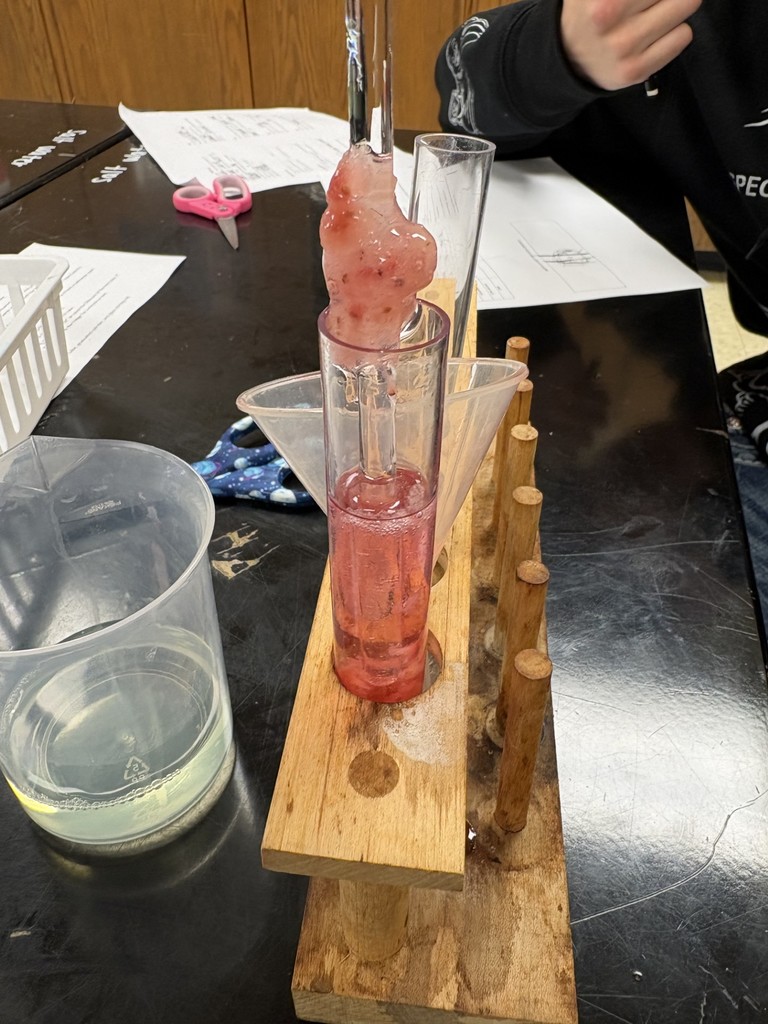 A picture of a test tube with a strawberry and the material that has been extracted from it. 