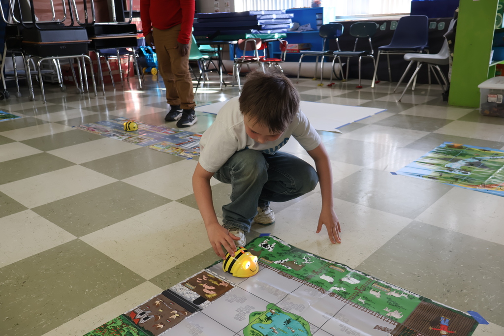 Student playing with bee-bot. 