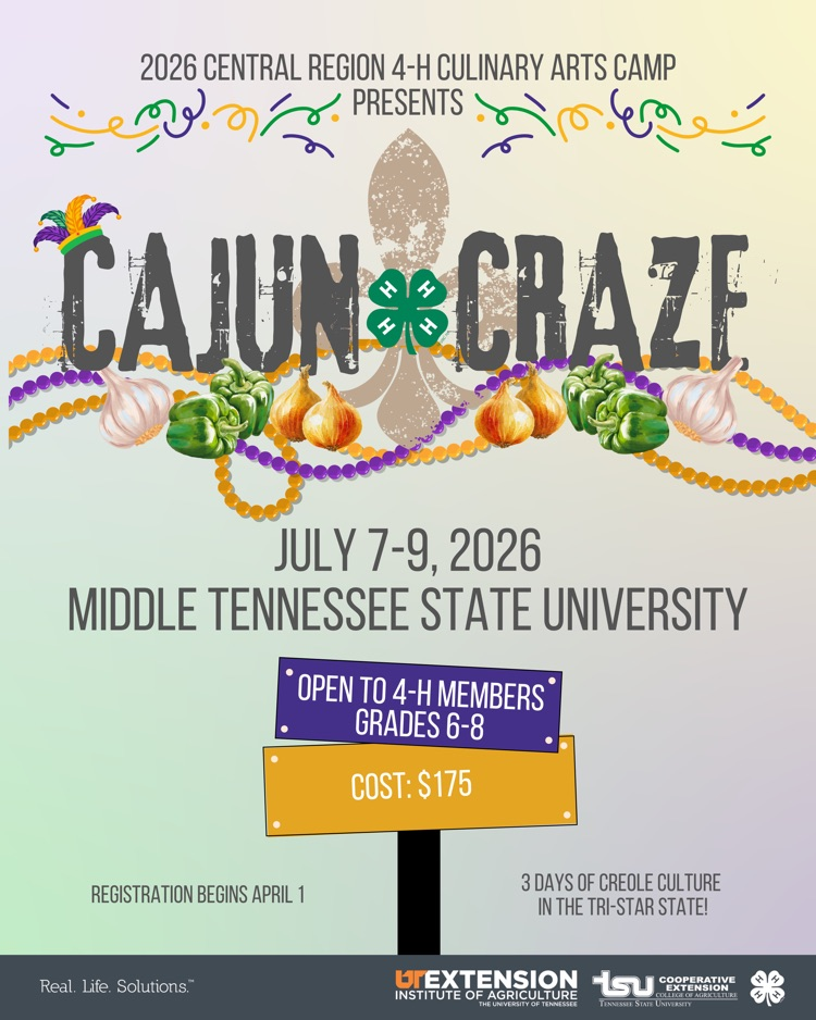 Cajun craze