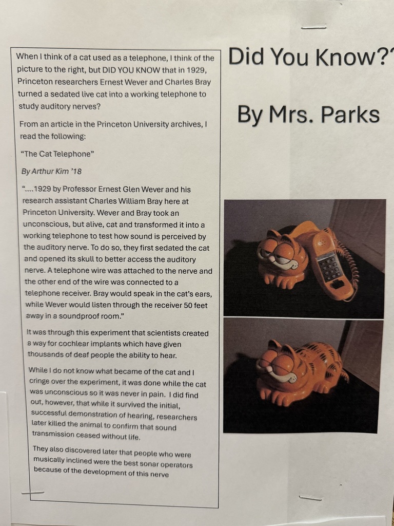 A real cat telephone created by using the auditory nerve