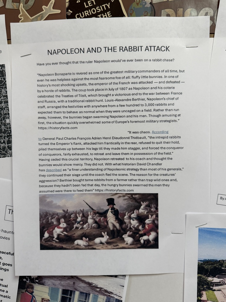 Napoleon and the bunny attack