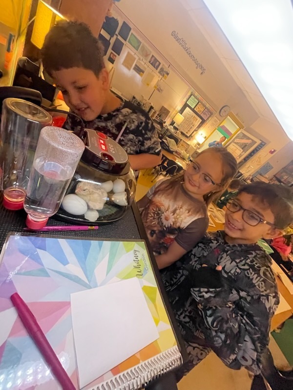 Students are observing the newly hatched chicks.