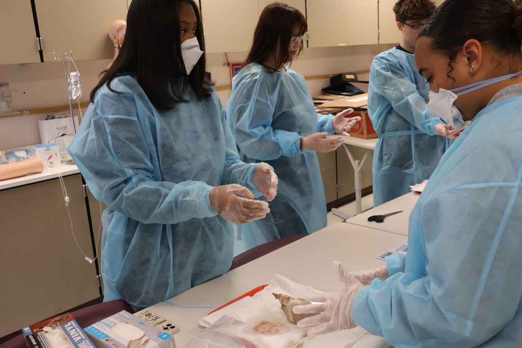 Students are examining sheep hearts for a Cardiology unit. 