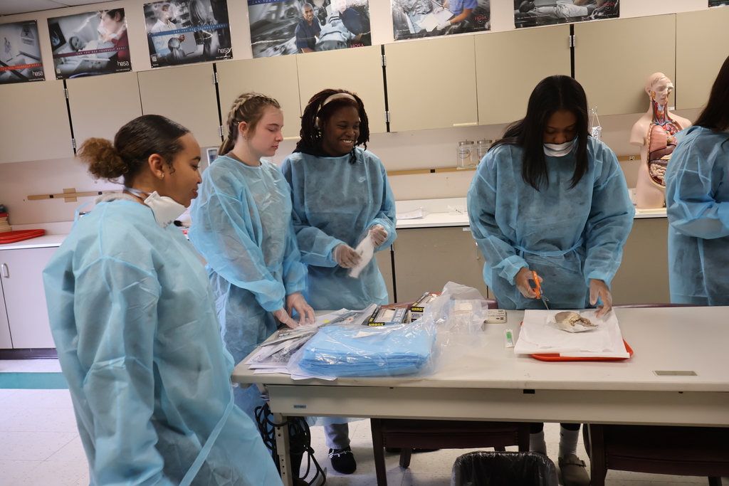 Students are examining sheep hearts for a Cardiology unit. 