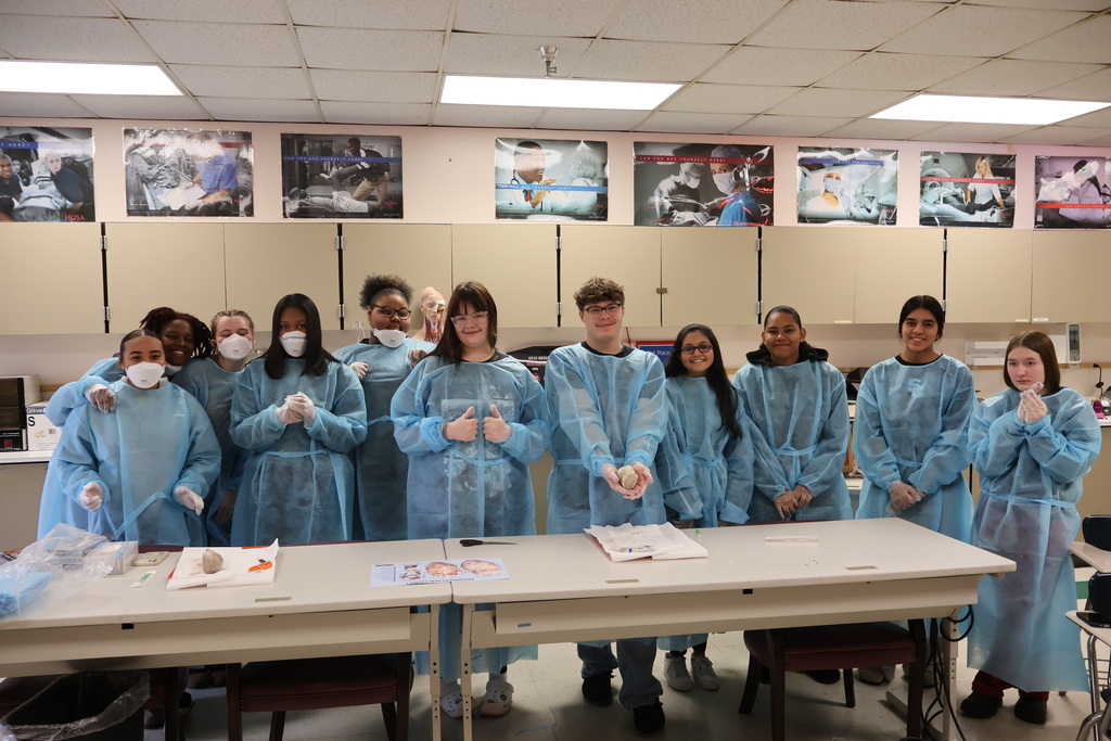 Students are examining sheep hearts for a Cardiology unit. 