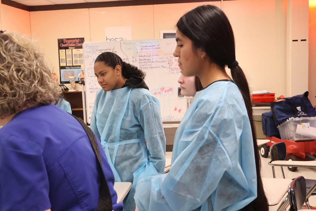 Students are examining sheep hearts for a Cardiology unit. 