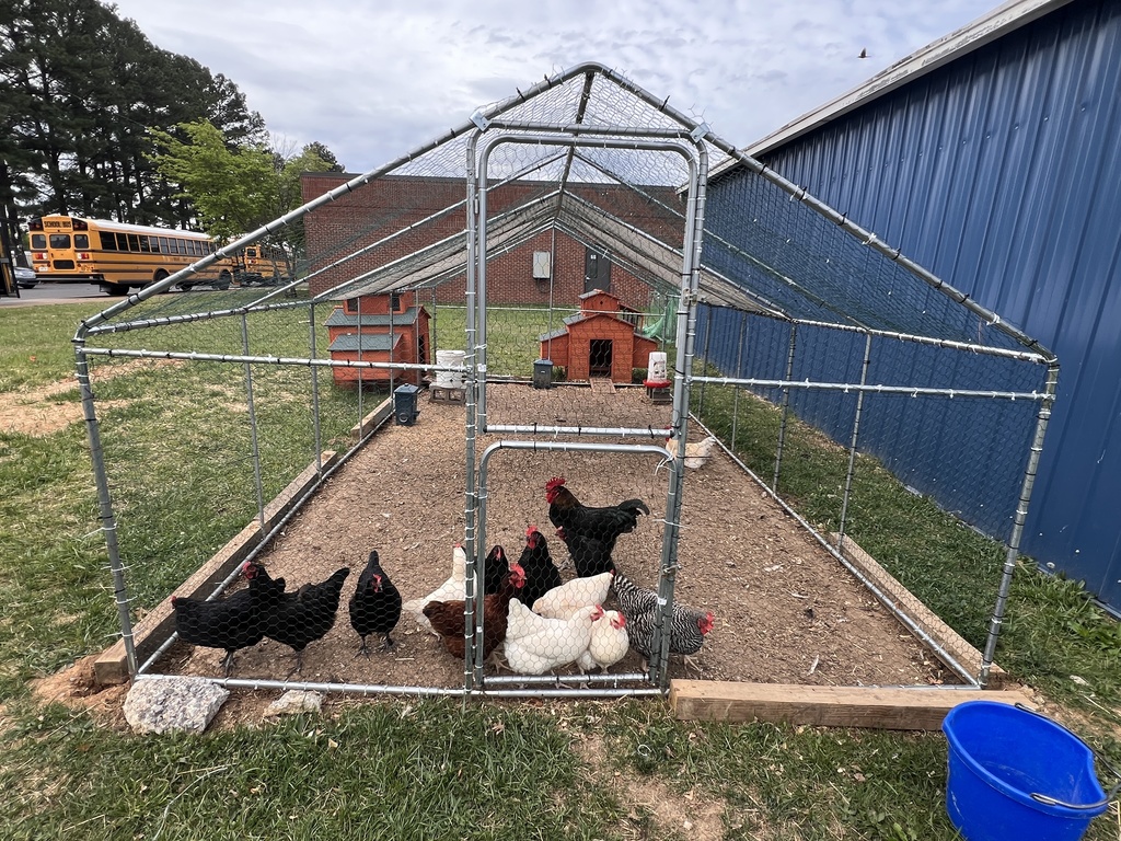 Chicken run with several chickens inside