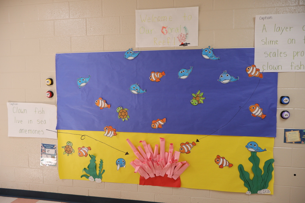 The interactive coral reef exhibit at Eakin Elementary school. 