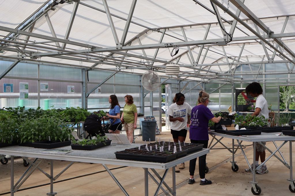 Pictures of students working in the greenhouse and people who are shopping the plant sale. 
