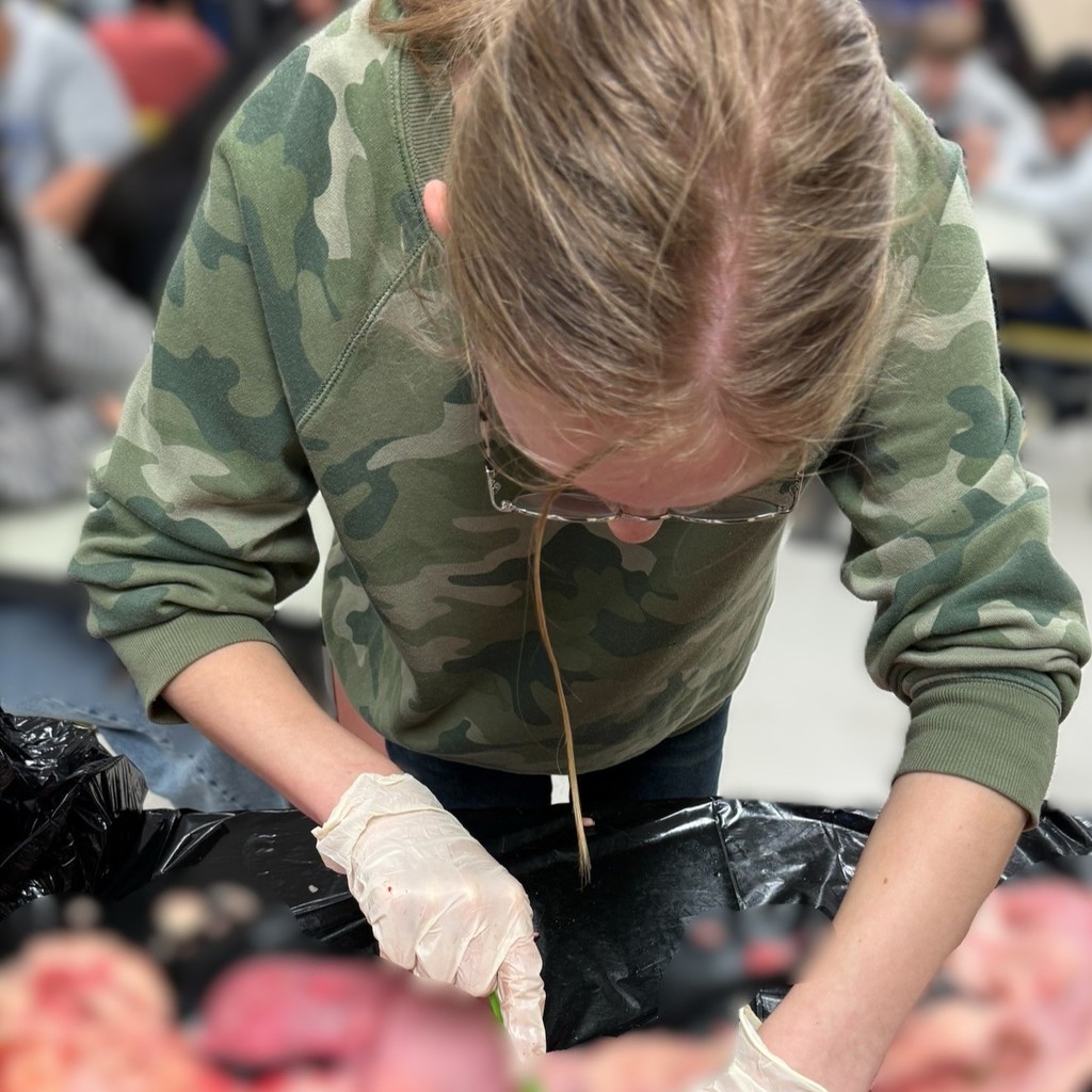 Agriculture Science - Dissection Lab 