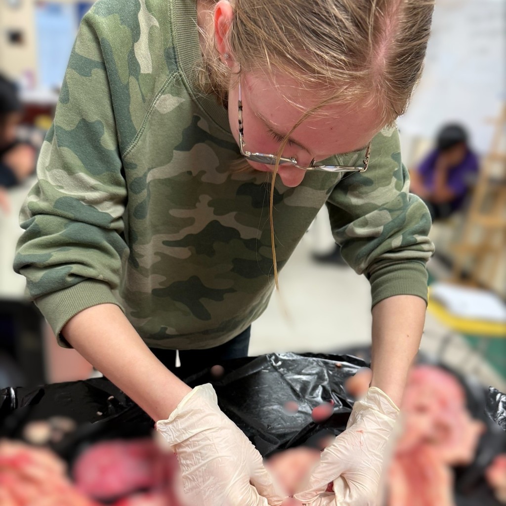 Agriculture Science - Dissection Lab 