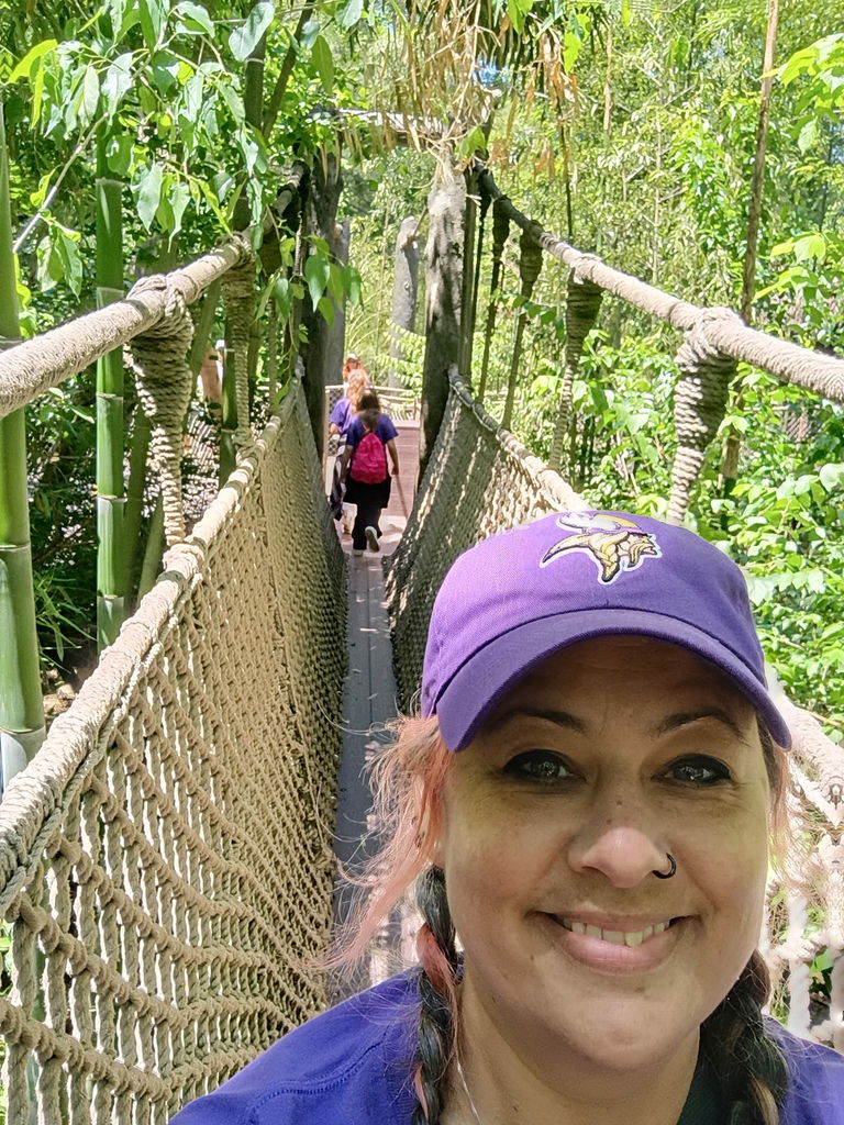Students are walking across a rope bridge.