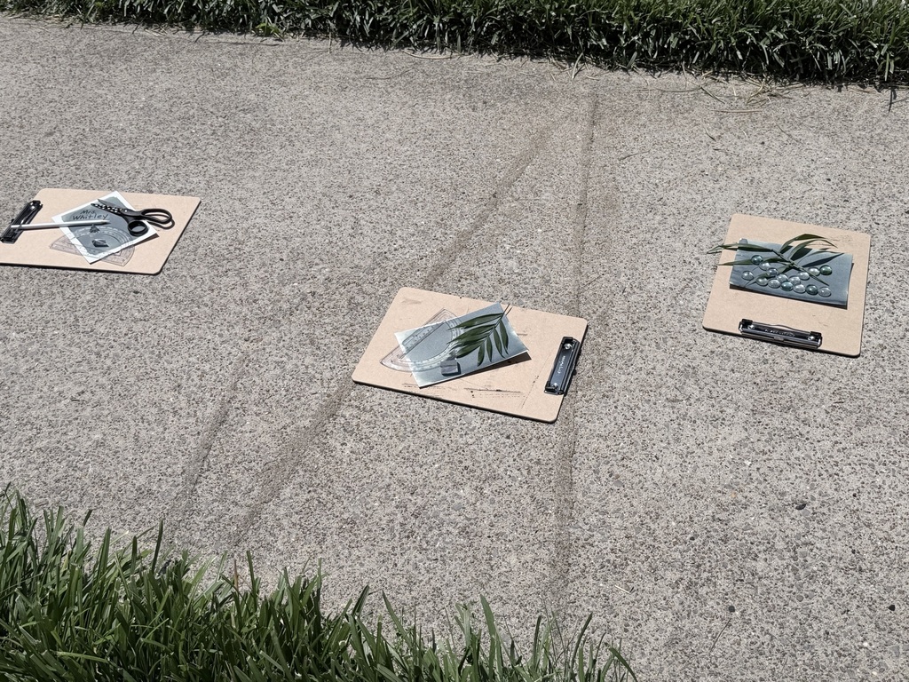 art laying in the sun