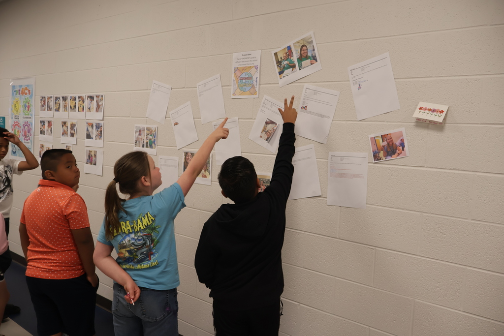 Students are pointing at papers that are on the walls.