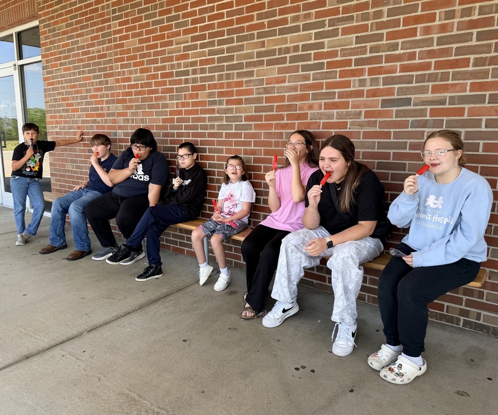 There are eight students seated on a bench while eating popsicles.