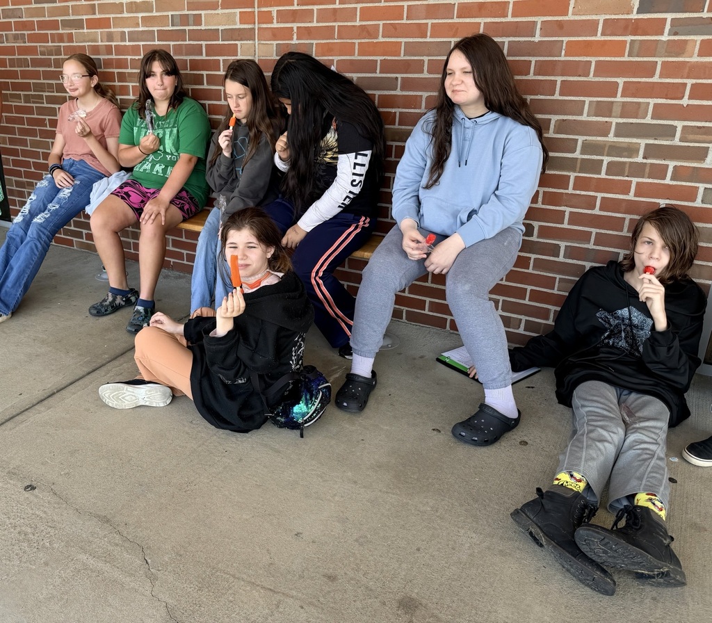 There are seven students seated on a bench and on the ground while eating popsicles.
