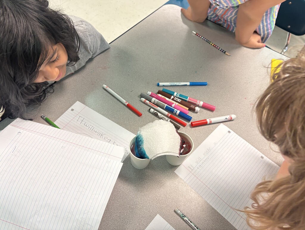 Three students are sitting down at a table with two cups of colored water as they participate in the walking water experiment. 