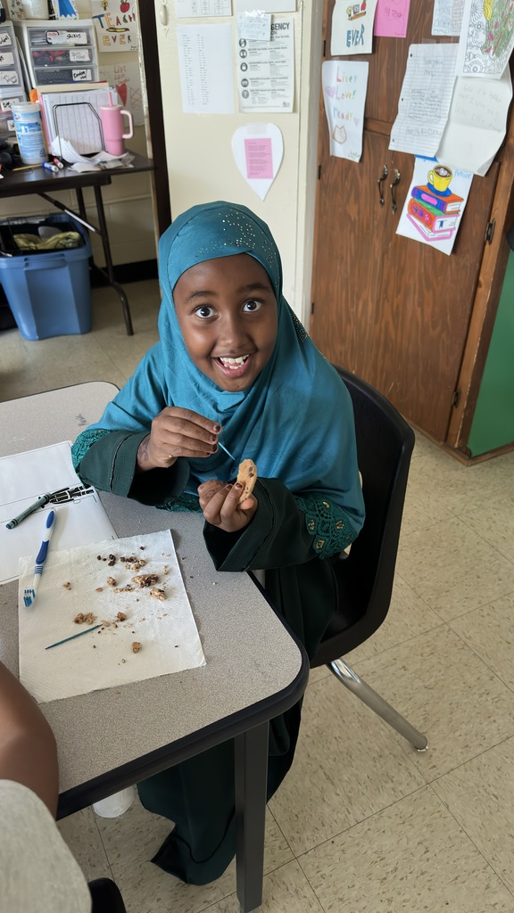 A student is participating in a chocolate chip fossil dig using chocolate chip cookies and toothpicks. 