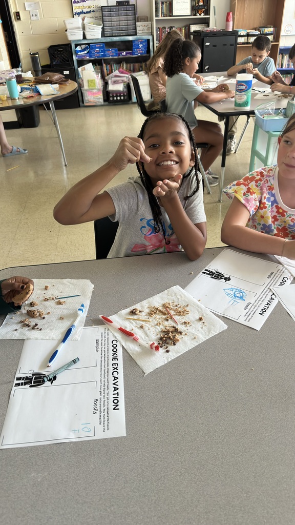 A student is participating in a chocolate chip fossil dig using chocolate chip cookies and toothpicks. 