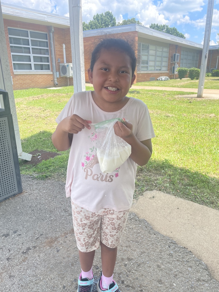 A student is holding a clear sandwich bag that contains ice cream that they made from milk.
