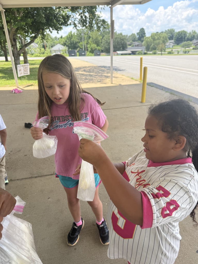 A student is holding a clear sandwich bag that contains ice cream that they made from milk.