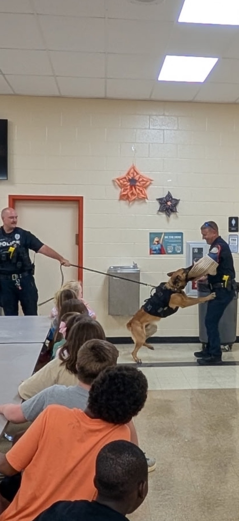 k-9