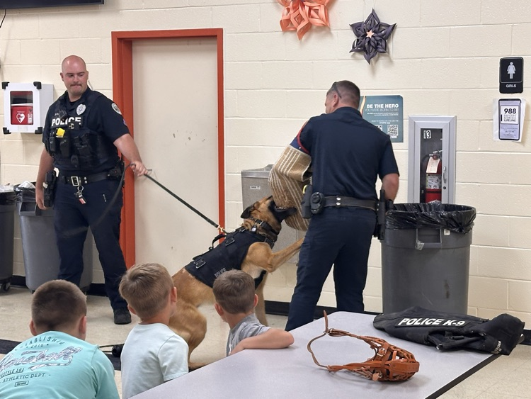 k9