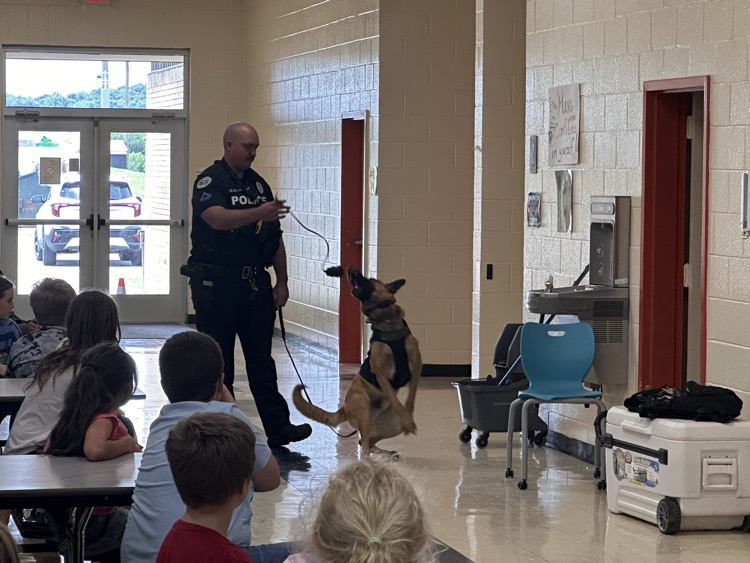 k9