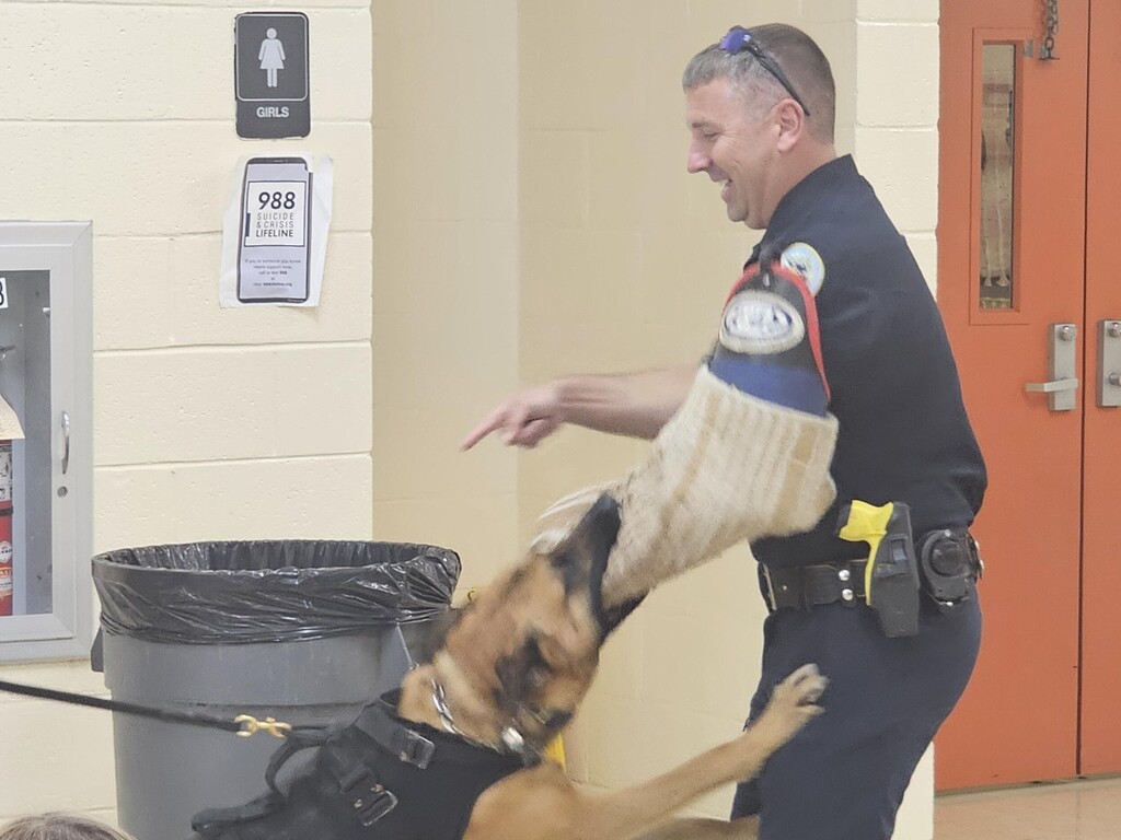 The officer is showing the students, using a bite suit, what the K9 can do.