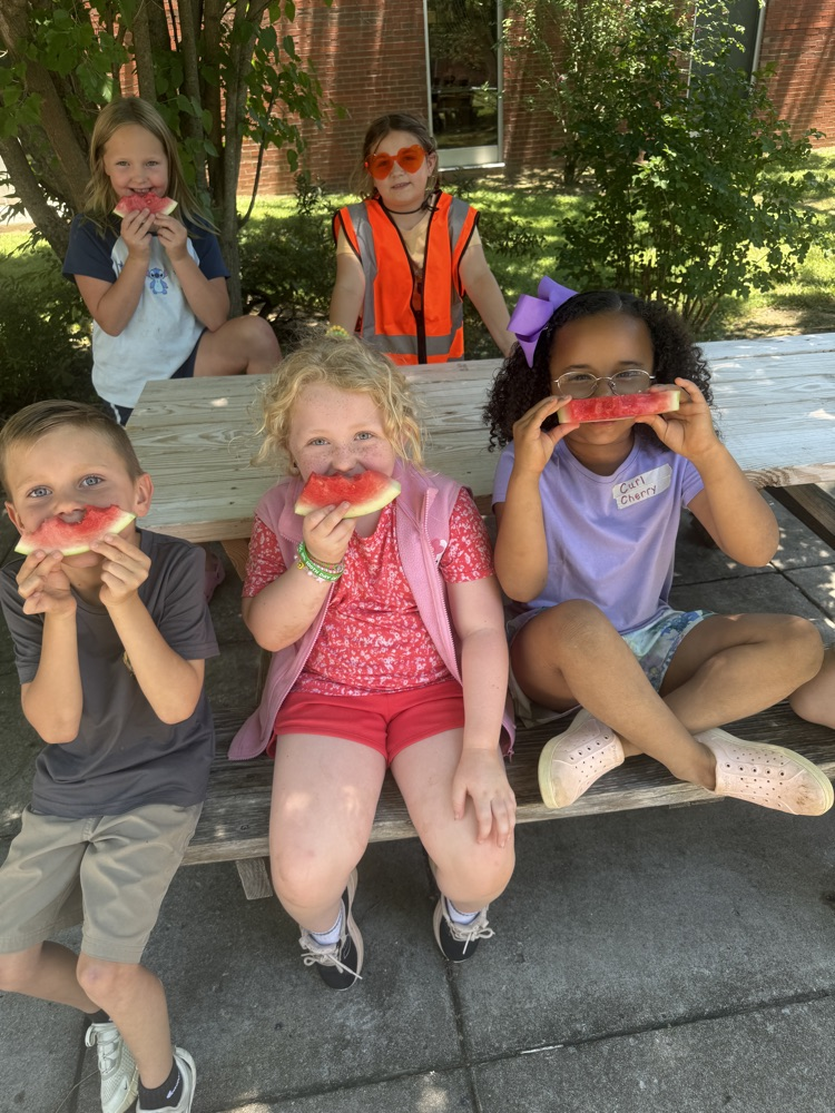 Watermelon Social!☀️🧺 🍉 