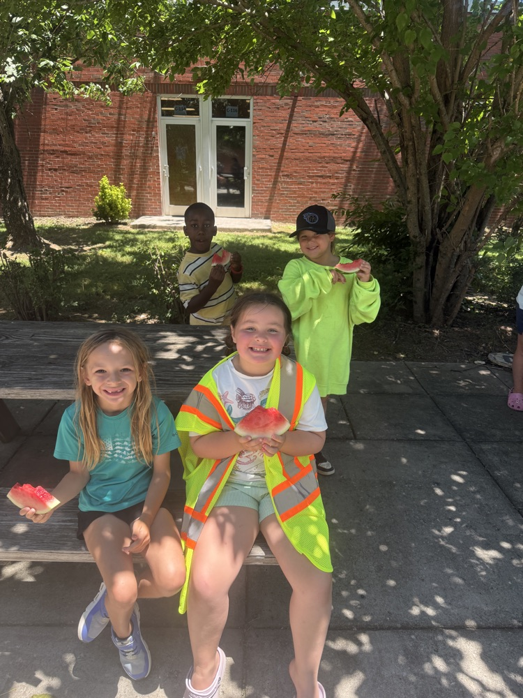 Watermelon Social!☀️🧺 🍉 