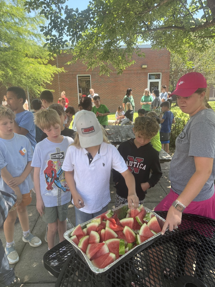 Watermelon Social!☀️🧺 🍉 