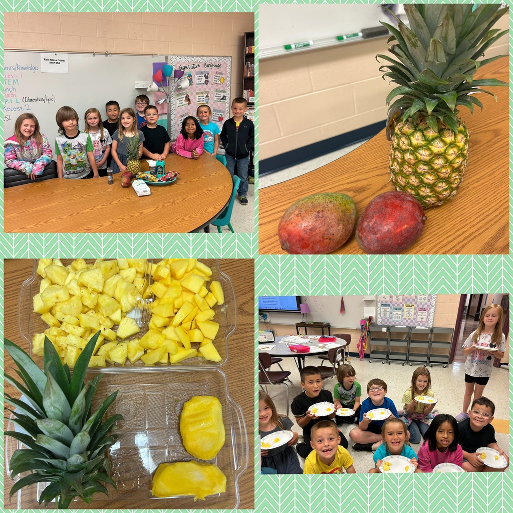 This is a collage picture of pineapples and mangos along with students who are holding plates of each to taste.