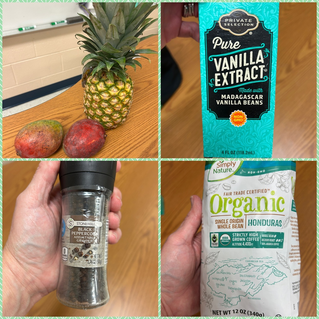 This is a collage picture of the different food items the students learned about in the rainforest habitat.