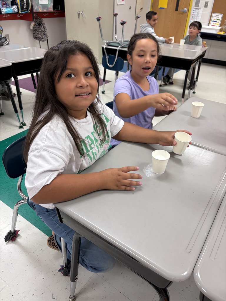 Summer Learning Camp at Learning Way Elementary - Ice Cream Bags