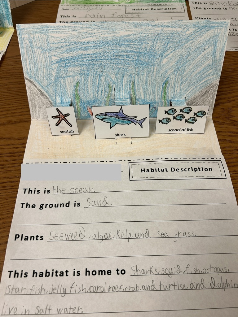 This is a picture of an ocean themed diorama. 