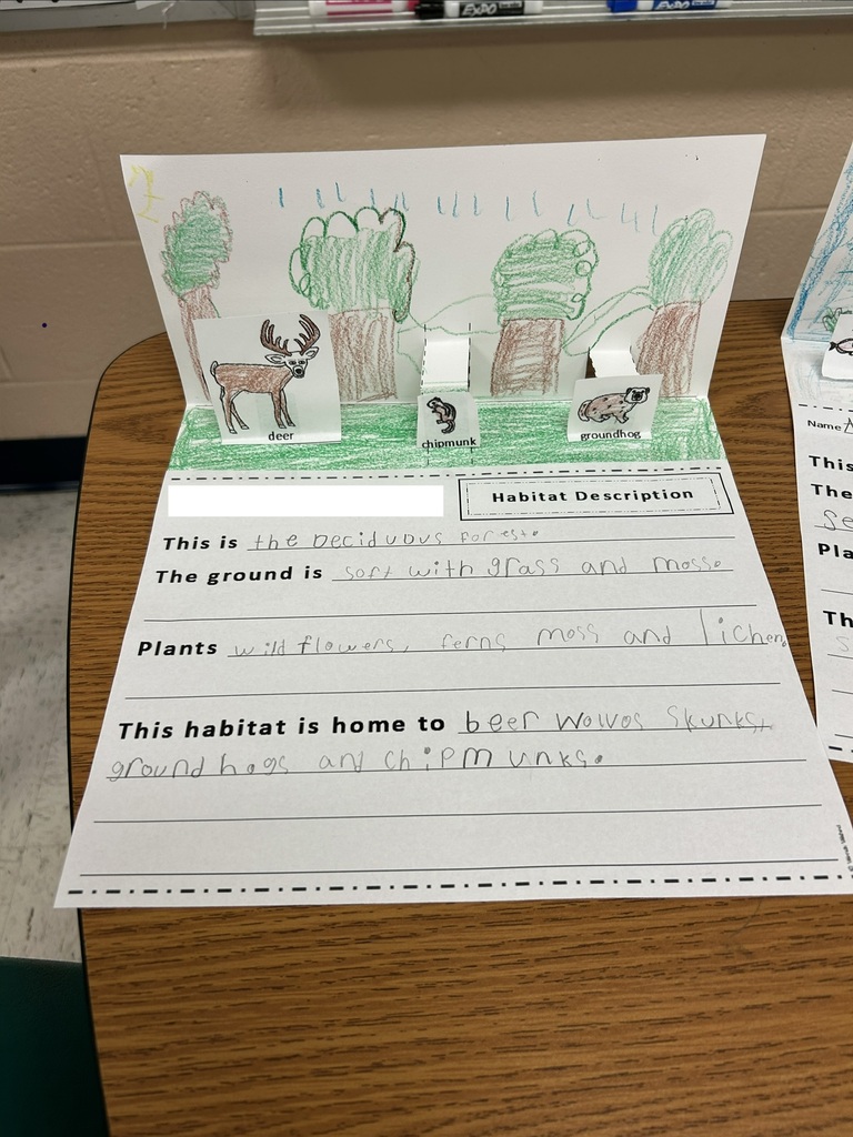 This is a picture of an deciduous forest themed diorama. 