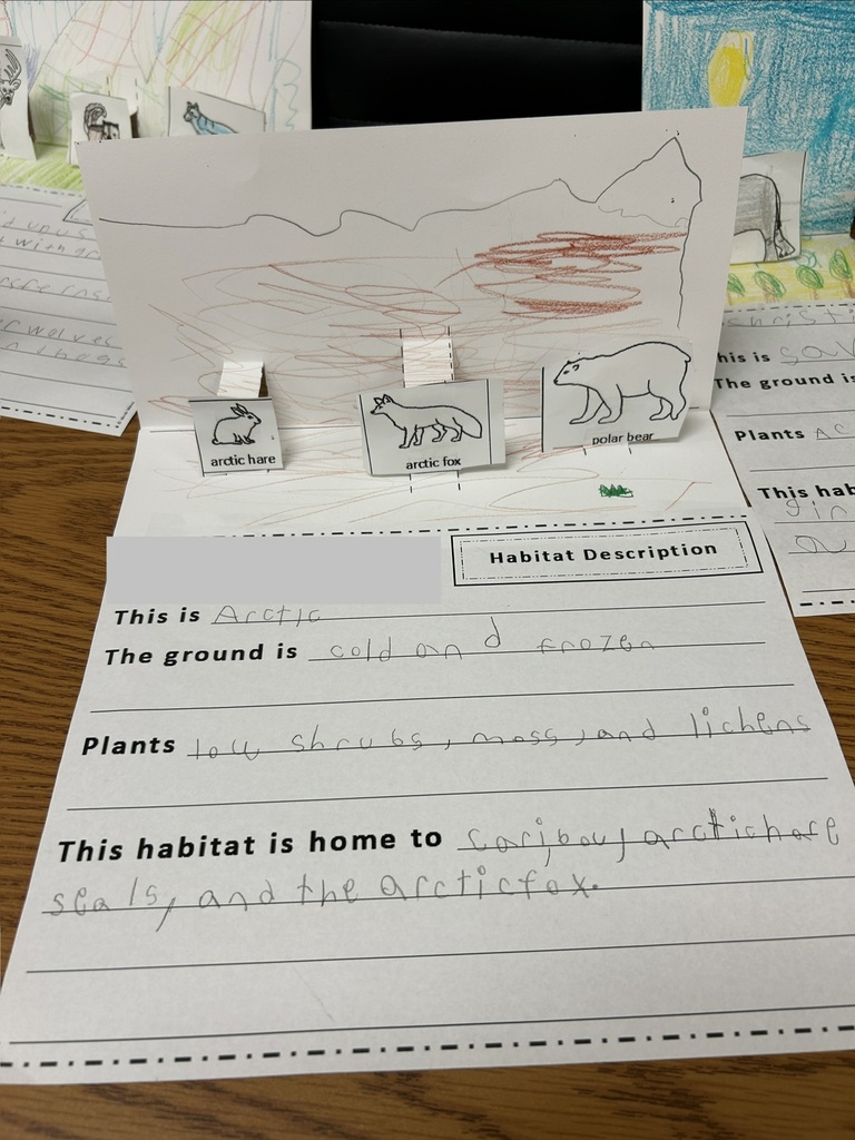 This is a picture of an arctic themed diorama. 