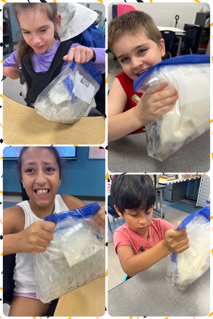 Students are holding up bags that created homemade ice cream in.