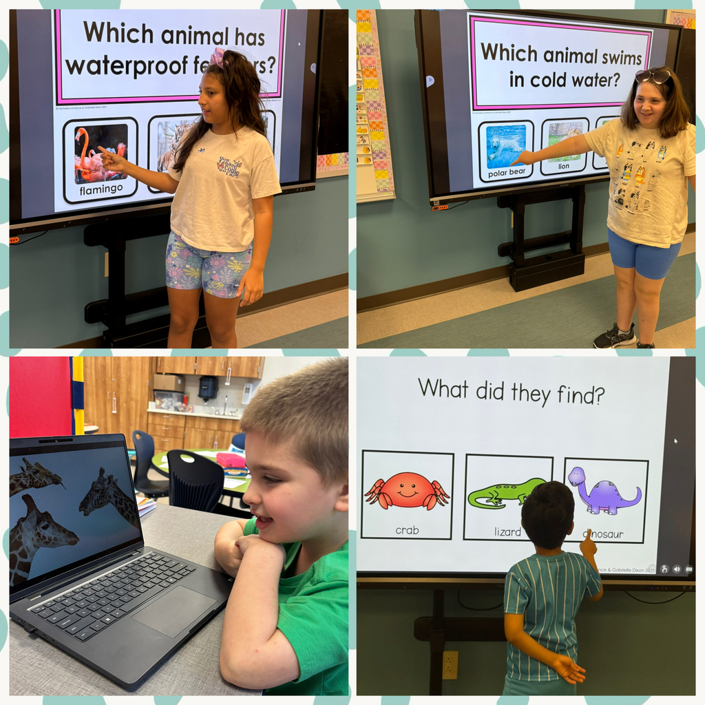 This is a collage picture that shows several students using a board to answer questions about animals. 