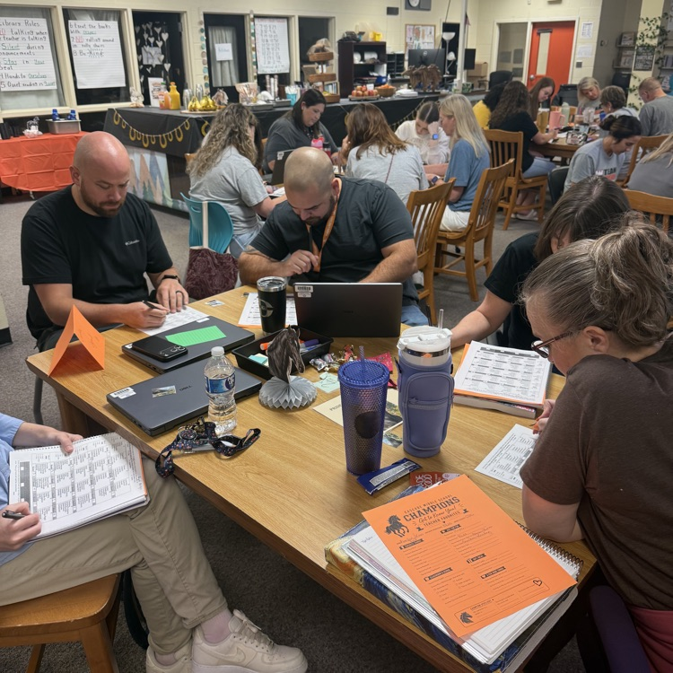 CMS teachers learning