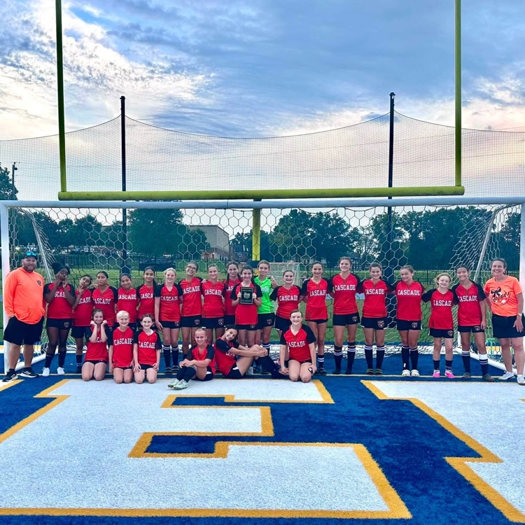 lady champions