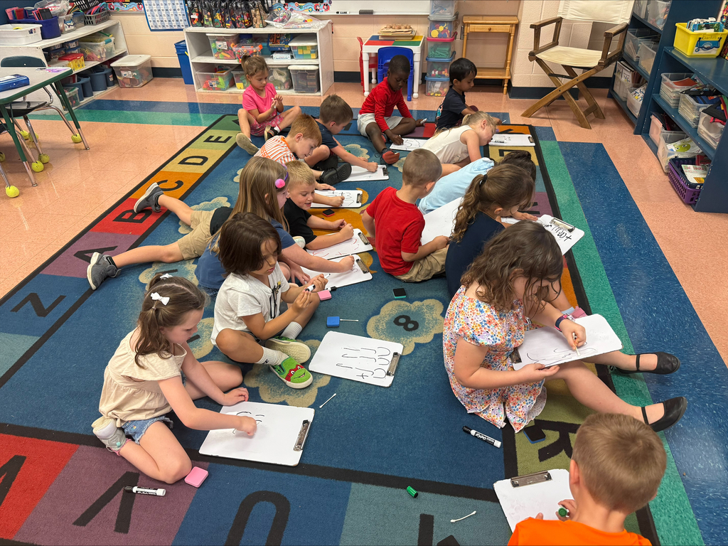 Fine motor