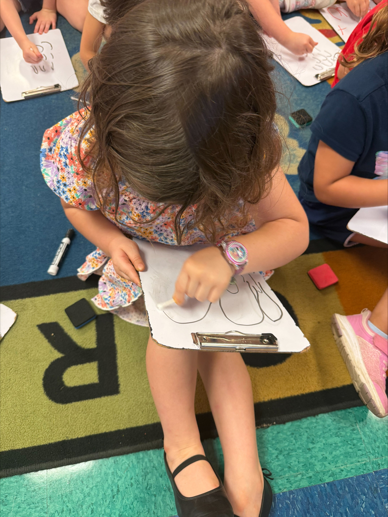 fine motor