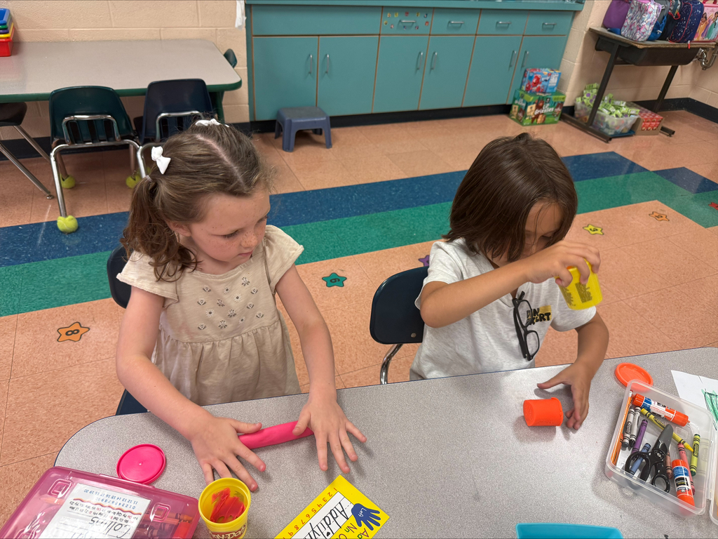 Fine Motor