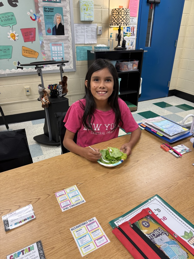 kids eating lettuce